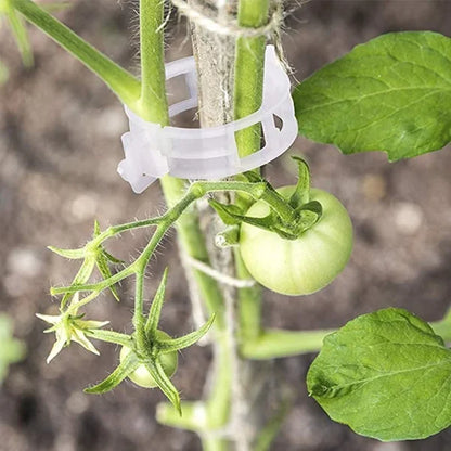 🗜️Klips för klätterväxter – Plastband för tomater och växtfästen 🌱🍅