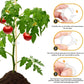 🗜️Klips för klätterväxter – Plastband för tomater och växtfästen 🌱🍅