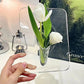 🌿 50% RABATT NU! 🖼️ Nordisk Akrylvas & Fotoramme – Minimalistisk Elegans för Ditt Hem 💐