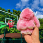 🏆TIDSBEGRÄNSAT SPECIALERBJUDANDE -49% 🐰 Handgjorda mjuka kaninpom-pom-charmar