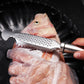 Avlägsnare av fiskskalare i rostfritt stål