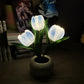 LED-nattlampa i form av en tulpan bordslampa🌷✨