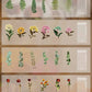 48 st Stora Torkade Blommor Stickers Set
