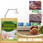 🔥HOT SALE🔥Naturlig kvalsterkontroll Sachet