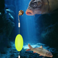 🎣⚡ Omvänd bottenrigg med dubbel krok! Den uppgraderade versionen ökar hakningshastigheten med 50 % – säg adjö till att fastna! 🎣
