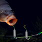 🎣⚡ Omvänd bottenrigg med dubbel krok! Den uppgraderade versionen ökar hakningshastigheten med 50 % – säg adjö till att fastna! 🎣