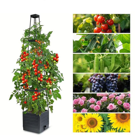 🍅Självvattnande tomatplanteringsbox med klätterväxtställ🪴