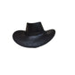 Vintage bredbrättad cowboyhatt med rem