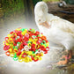 🐔 50% RABATT! 🔧 Justerbara snäppband för fjäderfäben – Mjuk plast, andningsbar design & enkel att öppna/stänga – perfekt för att märka och hålla reda på dina fåglar i hönshuset 🌿