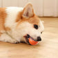 Varm försäljning 50% rabatt🎁Smart Pet Bounce interaktiv boll🐶