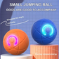 Varm försäljning 50% rabatt🎁Smart Pet Bounce interaktiv boll🐶