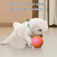 Varm försäljning 50% rabatt🎁Smart Pet Bounce interaktiv boll🐶
