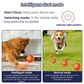 Varm försäljning 50% rabatt🎁Smart Pet Bounce interaktiv boll🐶