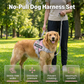 No-pull hundsele 🐕 Bekväm, säker & stoppar dragandet – njut av lugna promenader ✨