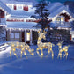 🎀 50% RABATT!✨LED-julrenset med rosett –🎁dekorativ renfamilj för inom- och utomhusbruk